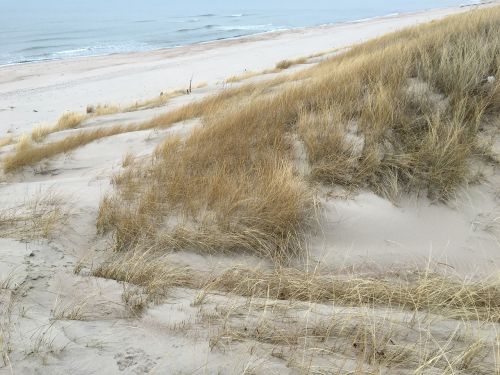 beach sea sand