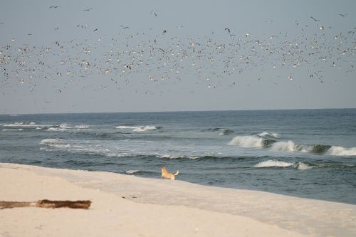 beach sand water