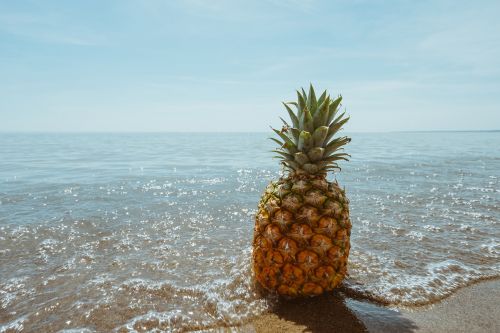 beach coast fruit