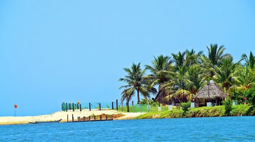 beach coconut tree paradise