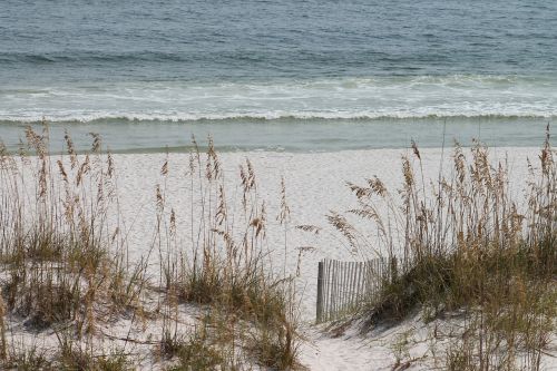 beach sand water