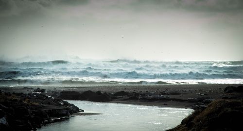 beach ocean outdoors