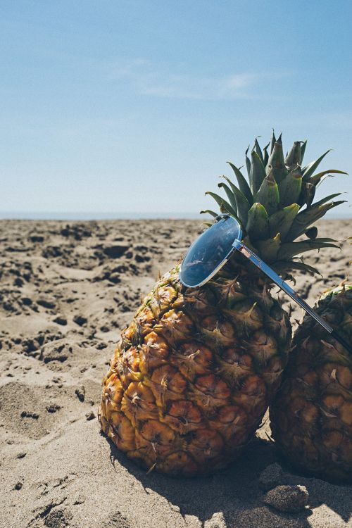 beach blue sky fruit