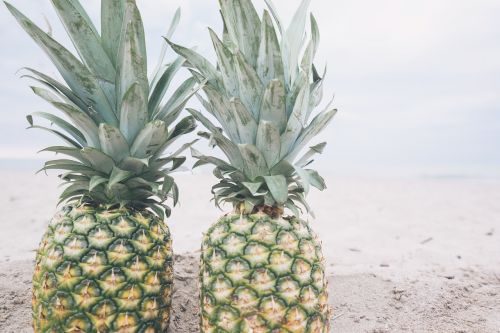 beach fruit pineapple