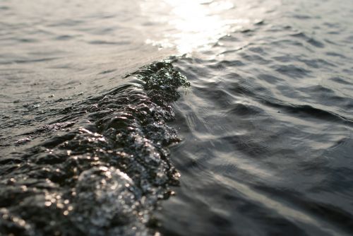 beach blur close-up