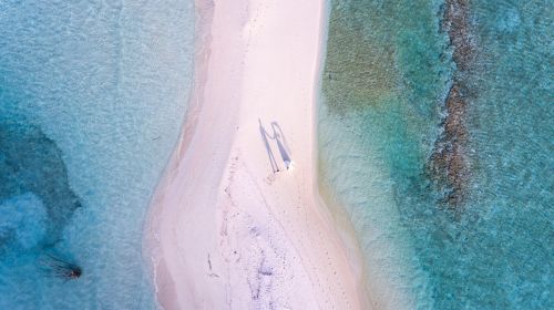 beach ocean outdoors