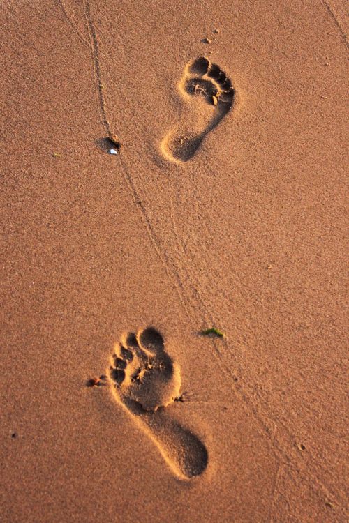 beach iz footprint