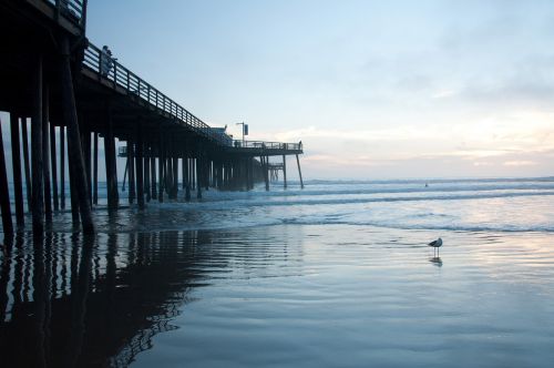 beach sunset pismo