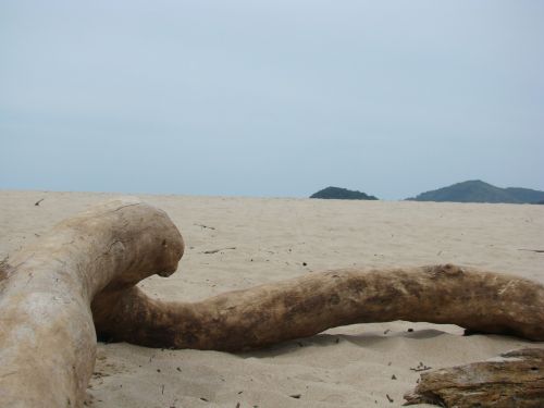 beach sand trunk