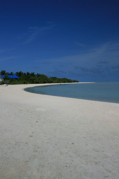 beach sea maldives