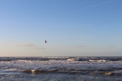 beach sea sand