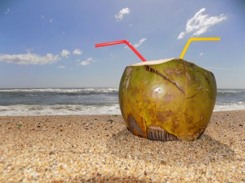 beach rest coconut water