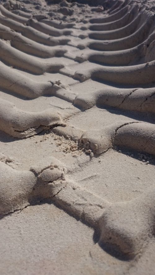 beach sand tracks