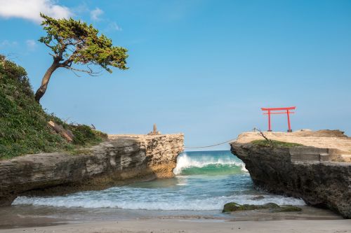 beach torii izu