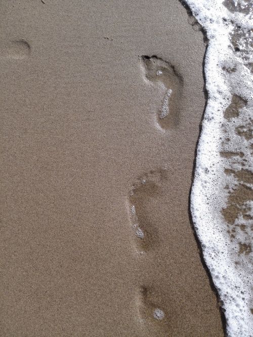 beach traces sand