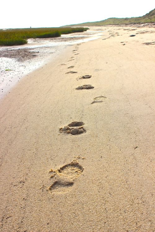 beach footprints north sea