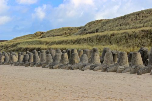 beach dunes coastal protection