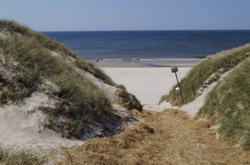 beach dune sea