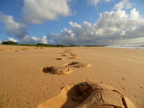 beach beira mar mar