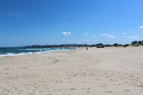 beach summer primorsko