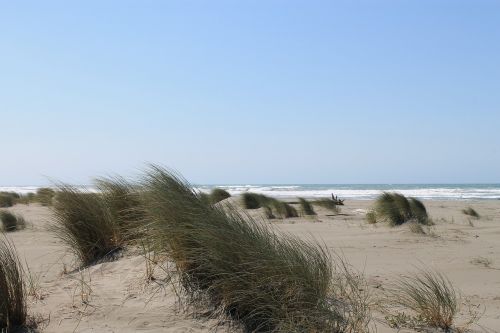 beach sea shore summer