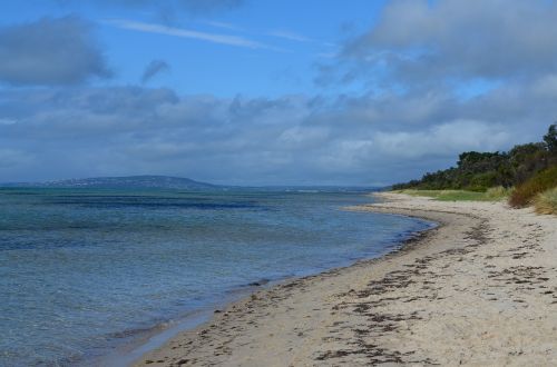 beach coastline nature