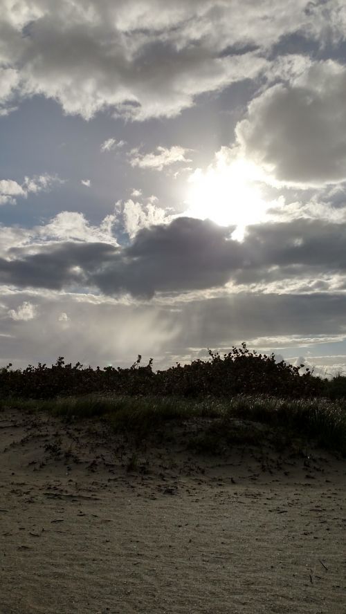 beach sand dune