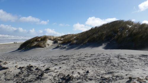 beach dunes north sea