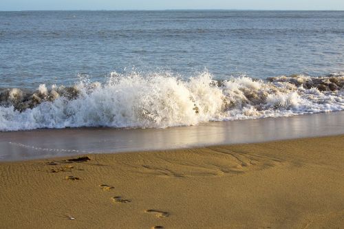 beach surf sea