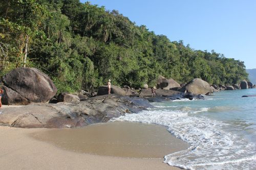 beach brazilwood side