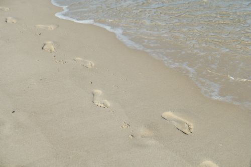 beach sand sylt