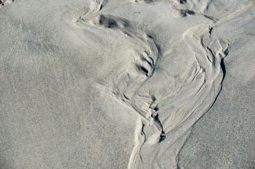 beach tracks in the sand sand