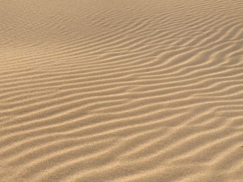 beach sand ocean