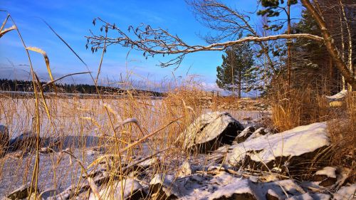 beach winter finnish