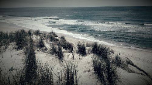 beach sea sand