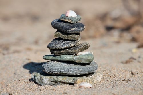 beach stones shells