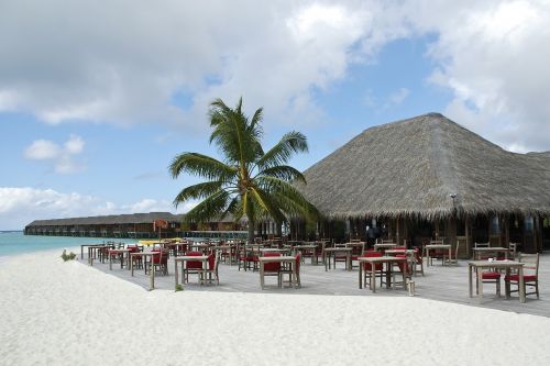 beach maldives bar