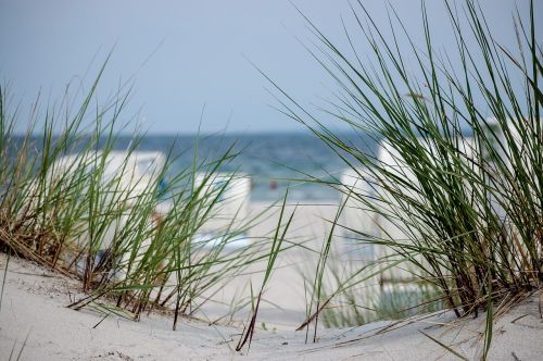 beach dune dunes