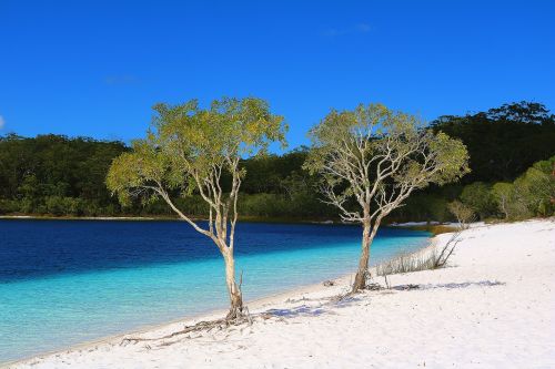 beach sea water