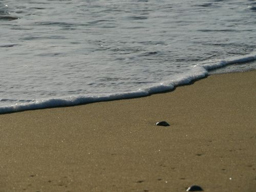 beach wave shore