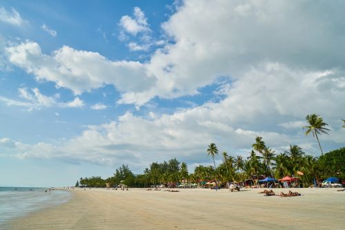 beach marine nature