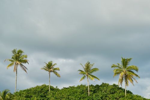 beach marine nature