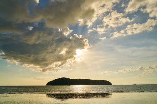 beach marine nature