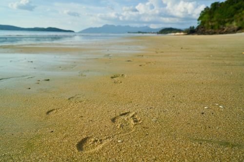 beach footprint sand