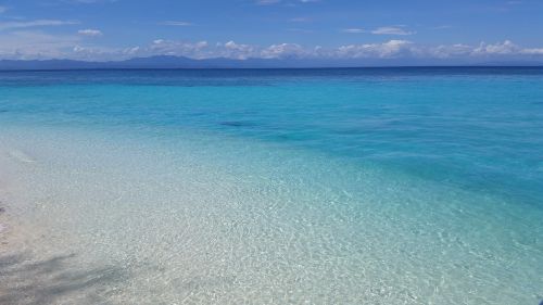 beach sea sand