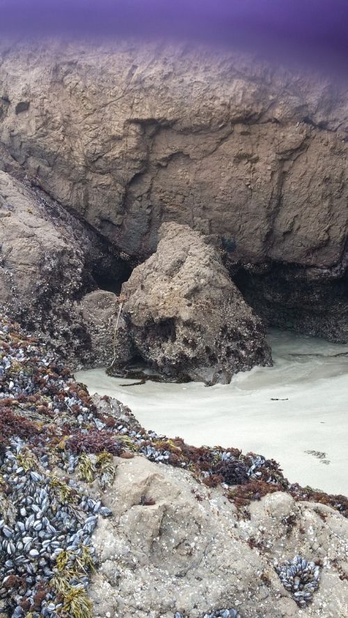 beach ocean sea cave