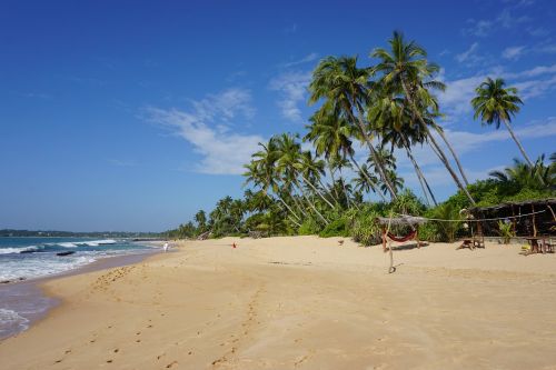 beach sand tropical