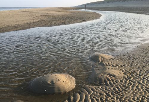 beach texel north sea