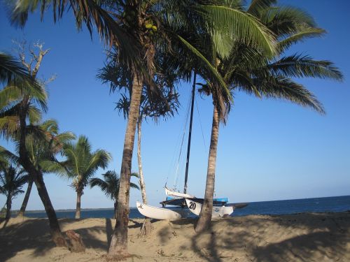 beach fiji sea