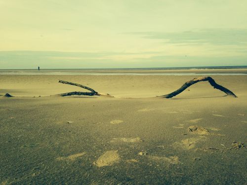 beach sea coast